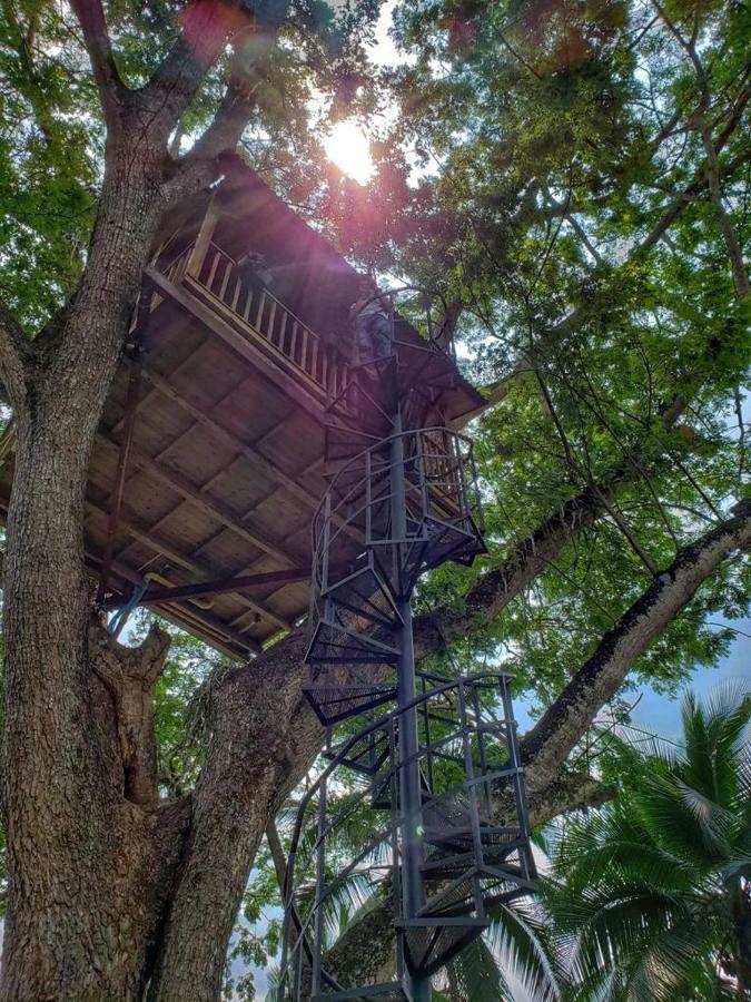 Casa En El Arbol Villa Utica Kültér fotó