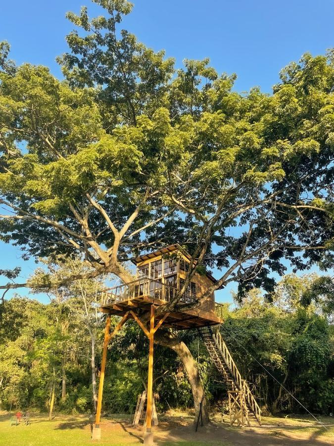 Casa En El Arbol Villa Utica Kültér fotó