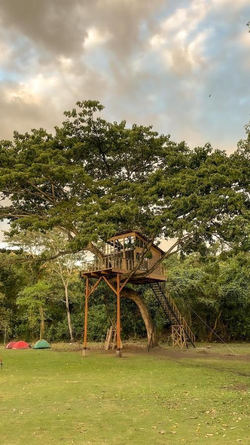 Casa En El Arbol Villa Utica Kültér fotó